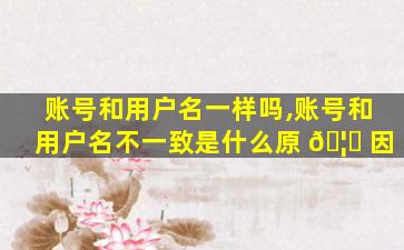 账号和用户名一样吗,账号和用户名不一致是什么原 🦋 因